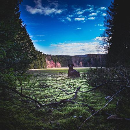 Fewo An Der Zwaens Stollberg Buitenkant foto