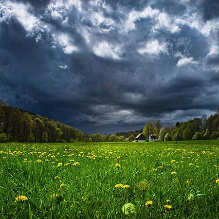 Fewo An Der Zwaens Stollberg Buitenkant foto