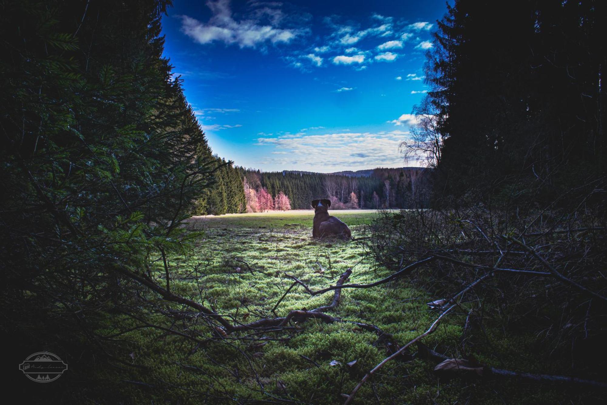 Fewo An Der Zwaens Stollberg Buitenkant foto